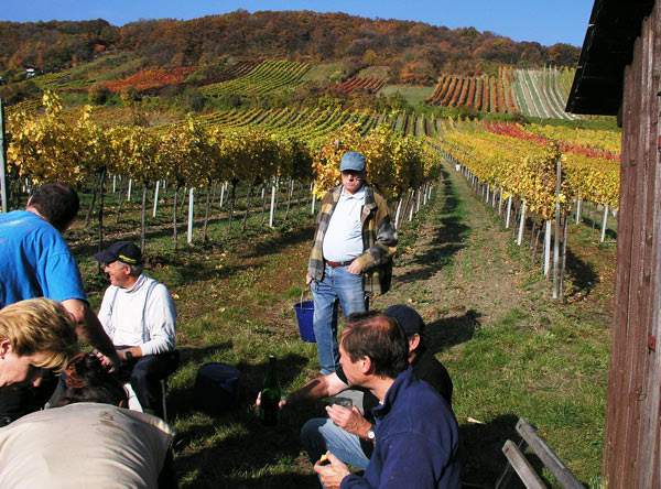 2006-11-06_Weinlese_51